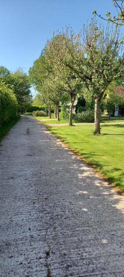 La Ferme Aux Canards Bed & Breakfast Sassetot-le-Mauconduit Bagian luar foto